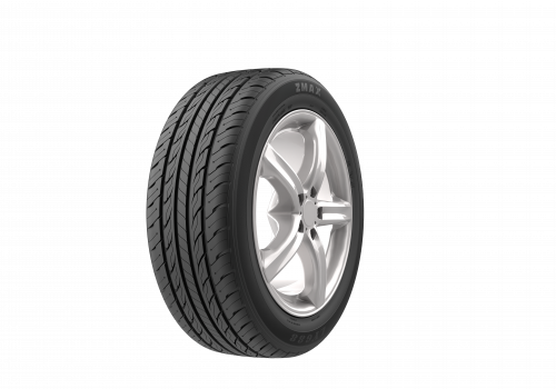 195/55 R16 91WXL ZMAX LY688 HP